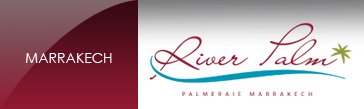 river palm